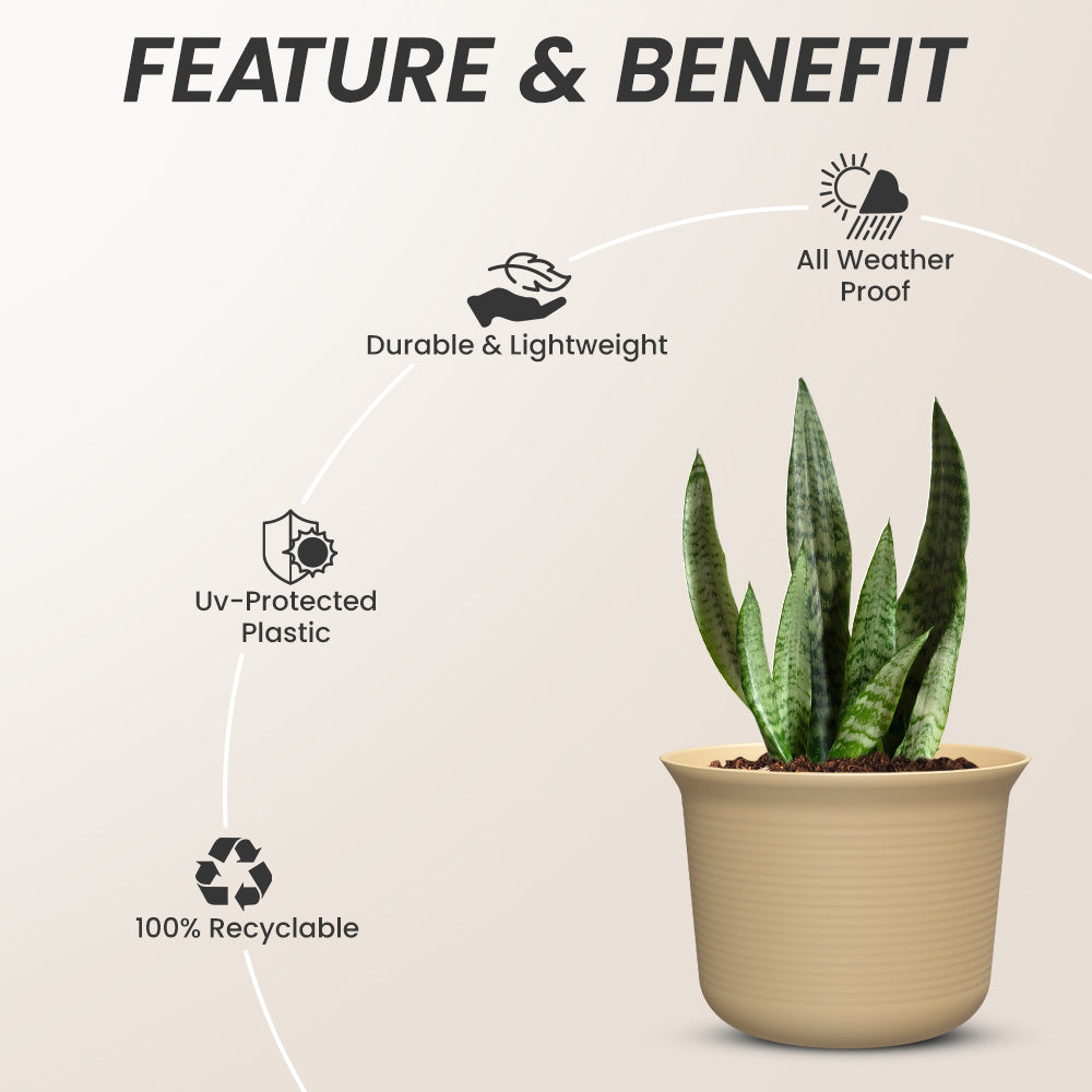 SHERA | FLORA PLANTER