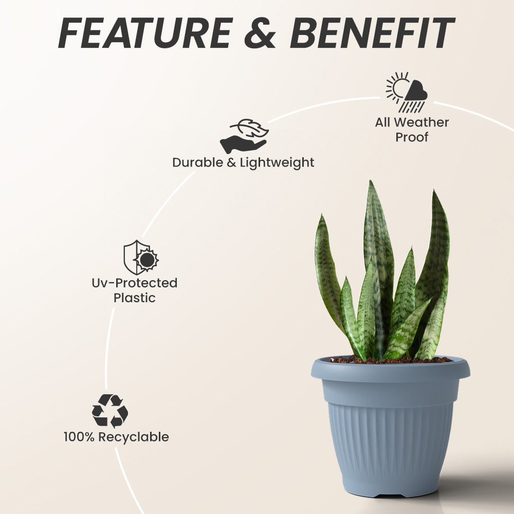 SHERA | BLOOM PLANTER