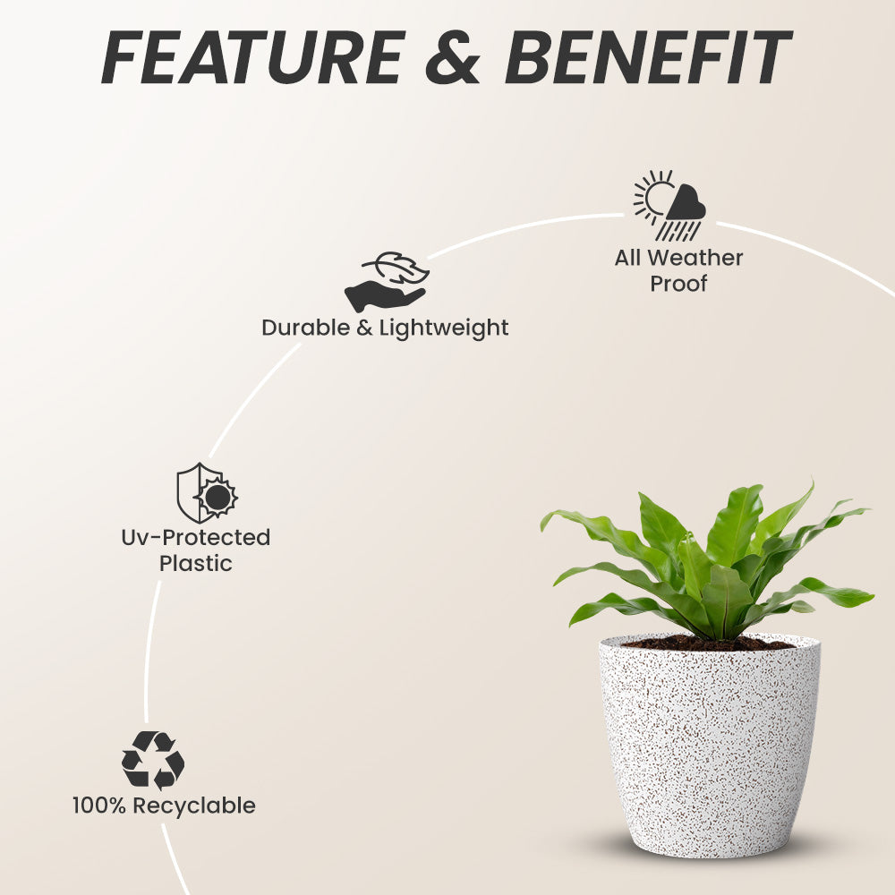 SHERA | STELLA GARDEN PLANTER