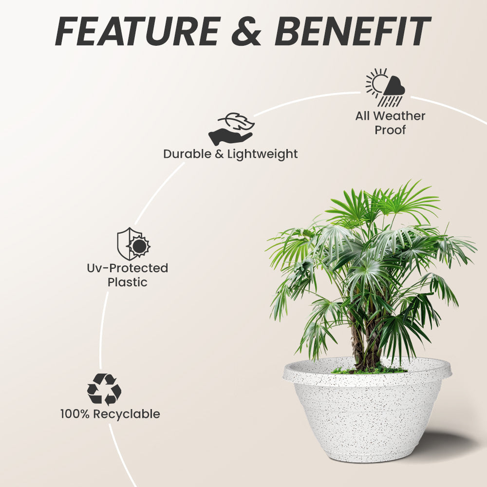 SHERA | BOTANICA BONSAI KTR PLANTER