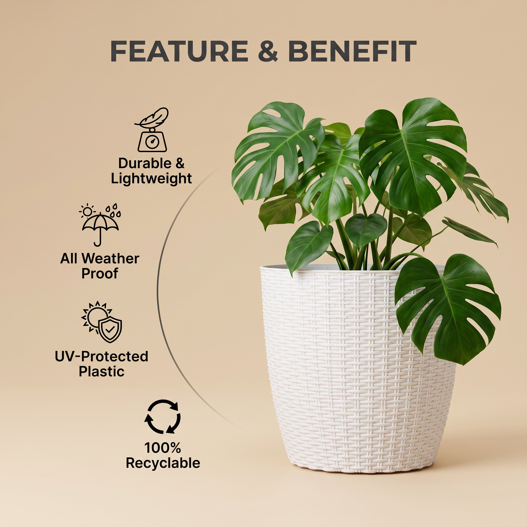 SHERA | STELLA R PLANTER