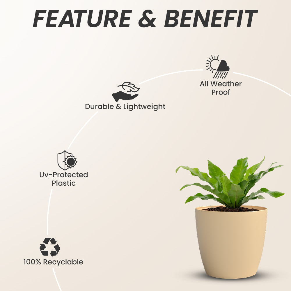 SHERA | STELLA GARDEN PLANTER