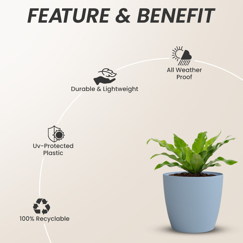 SHERA | STELLA GARDEN PLANTER
