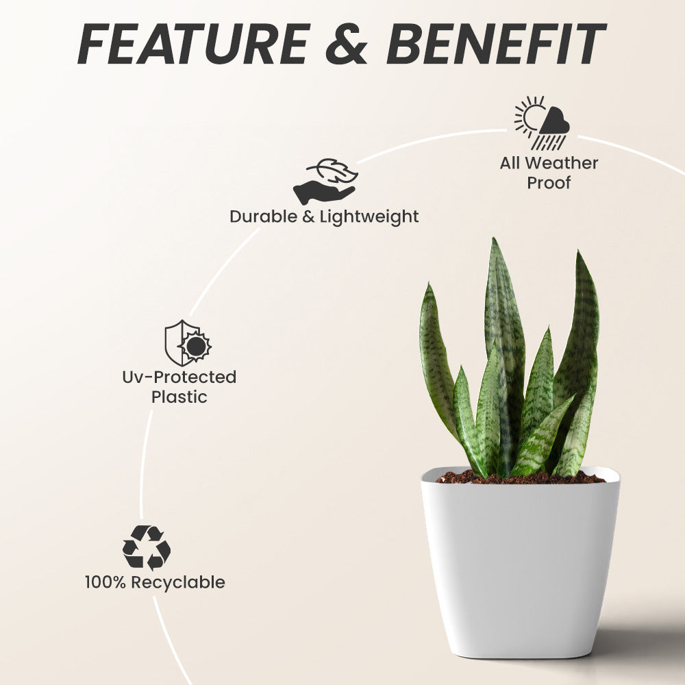 SHERA | STOIC PLANTER