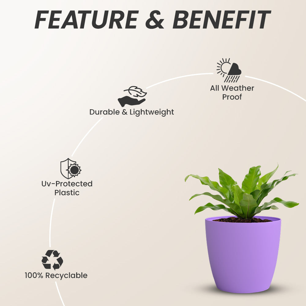 SHERA | STELLA GARDEN PLANTER