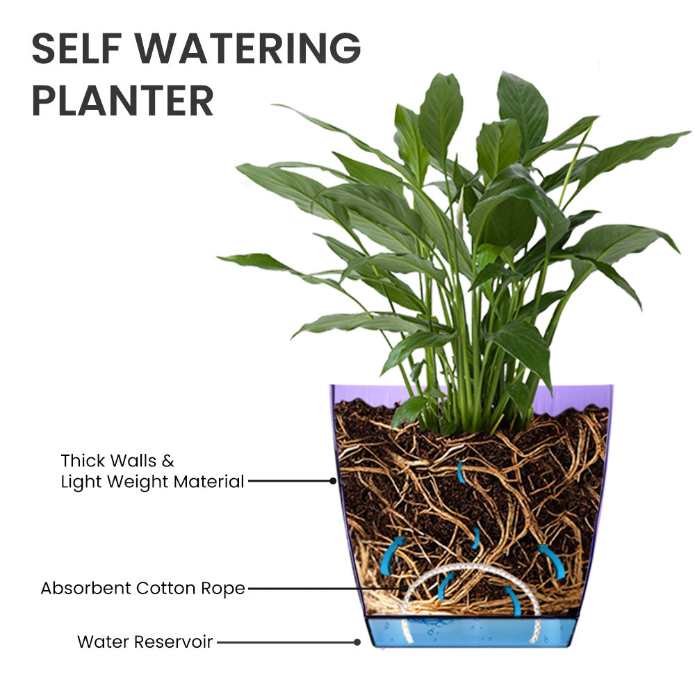 SHERA | EVA PLANTER
