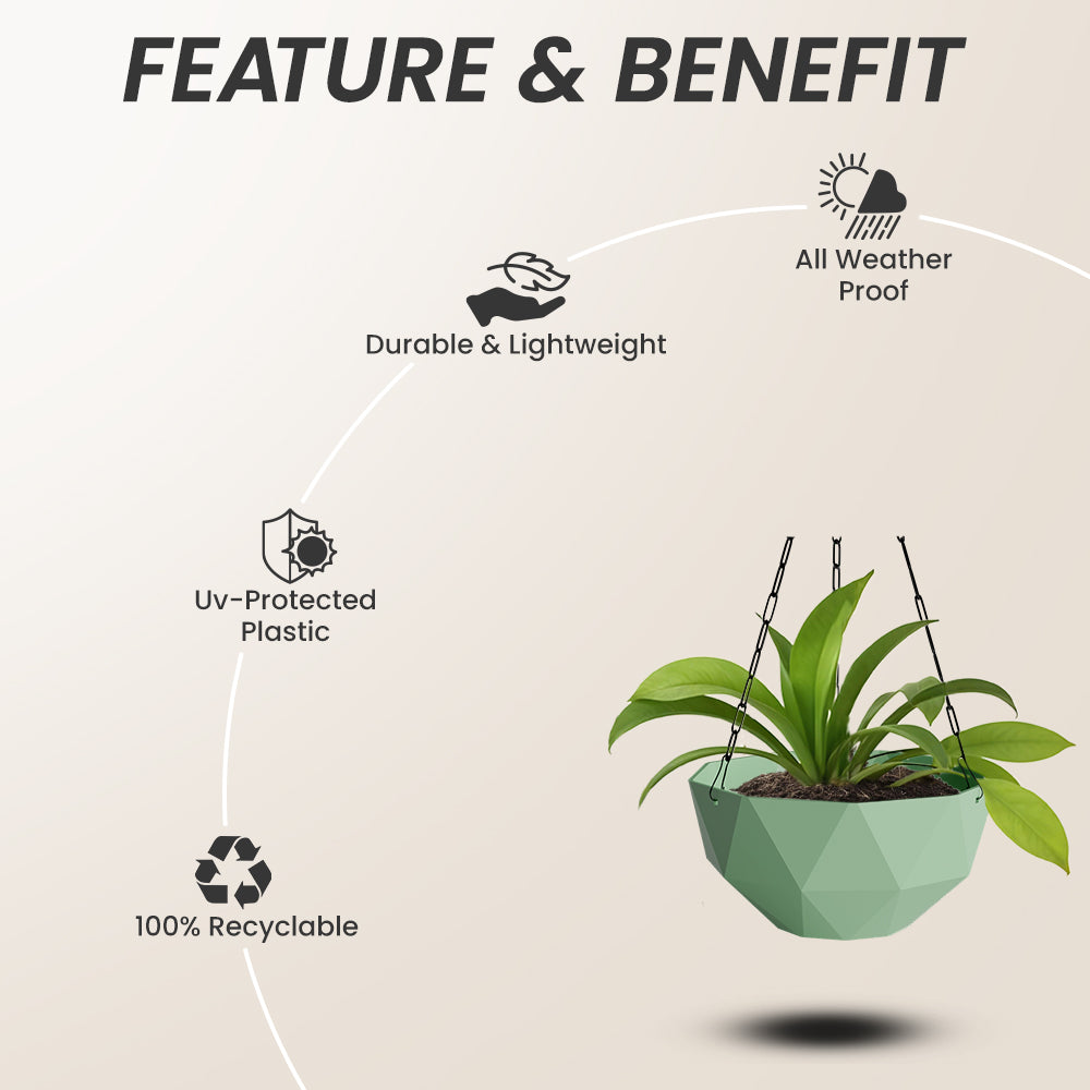 SHERA | DMD KTR HANGING