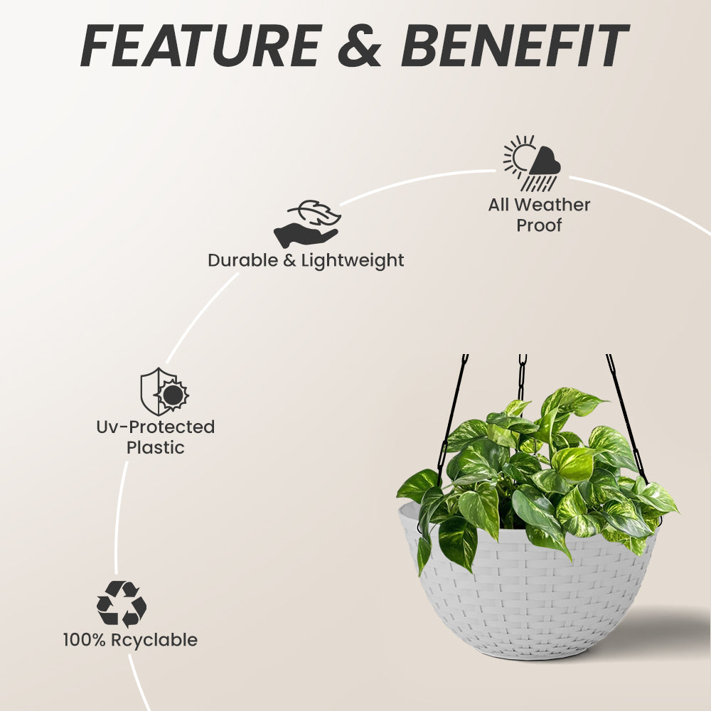 SHERA | CHICK HANGING