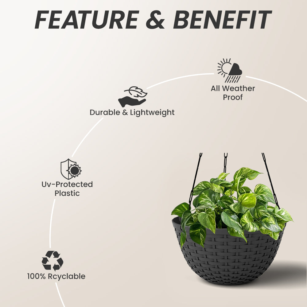 SHERA | CHICK HANGING