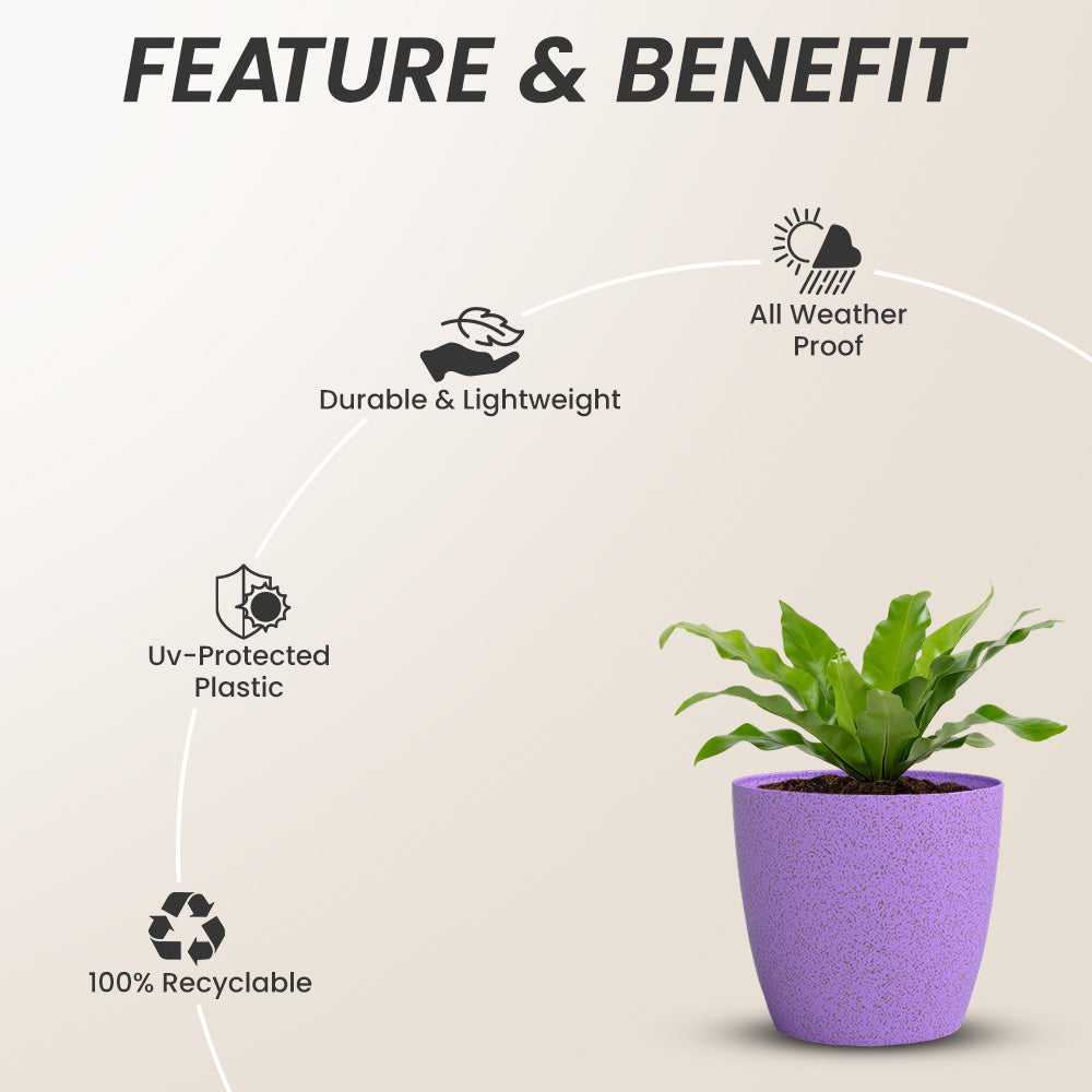 SHERA | STELLA BIO PLANTER