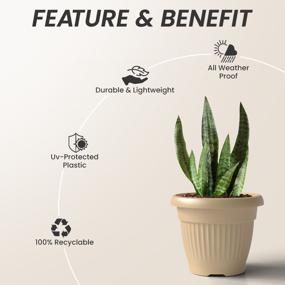 SHERA | BLOOM PLANTER