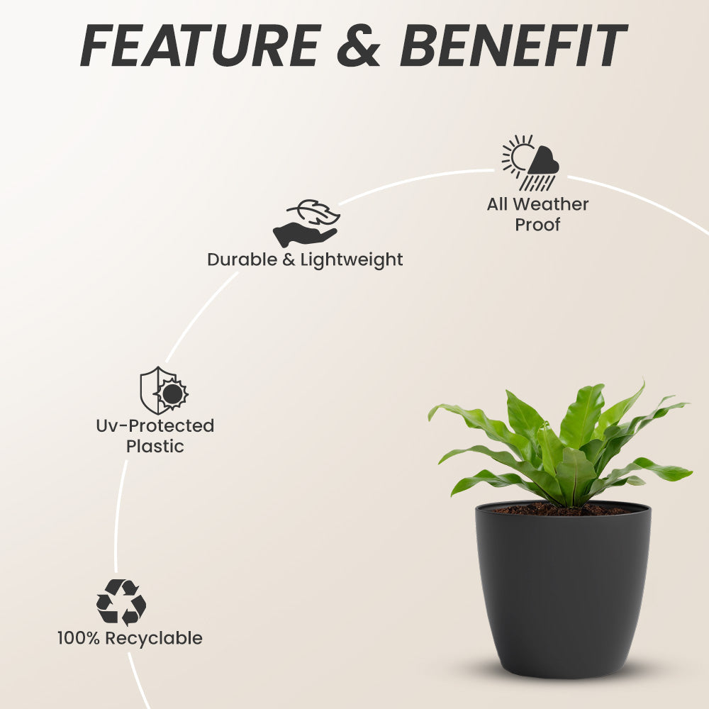 SHERA | STELLA GARDEN PLANTER