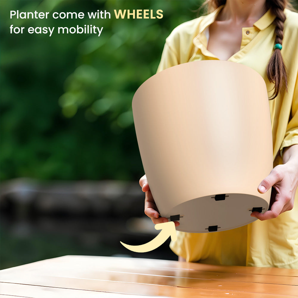 SHERA | STELLA GARDEN PLANTER