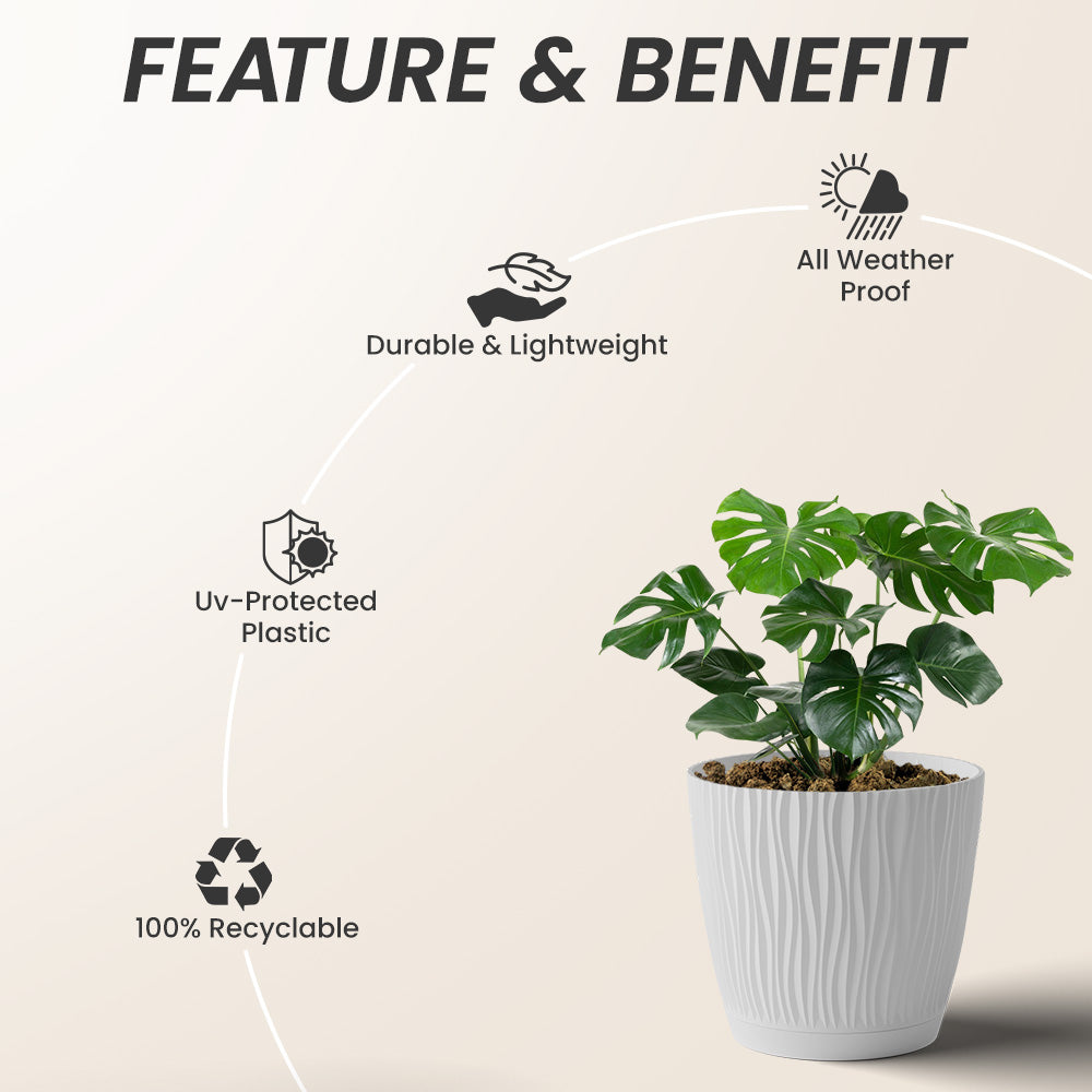 SHERA | EVA PLANTER