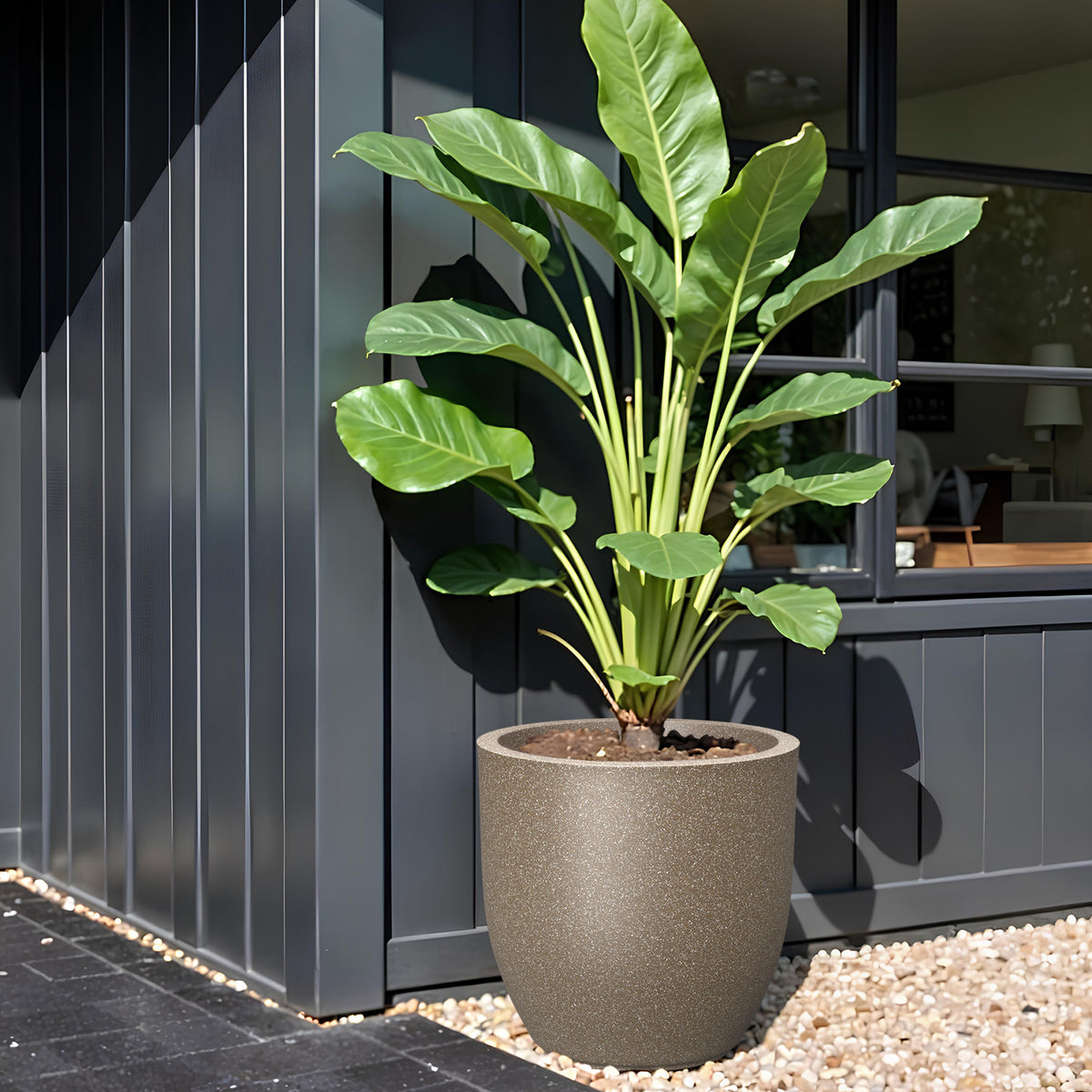 FOX B | P CUP PLANTER 17 INCH TO 40 INCH