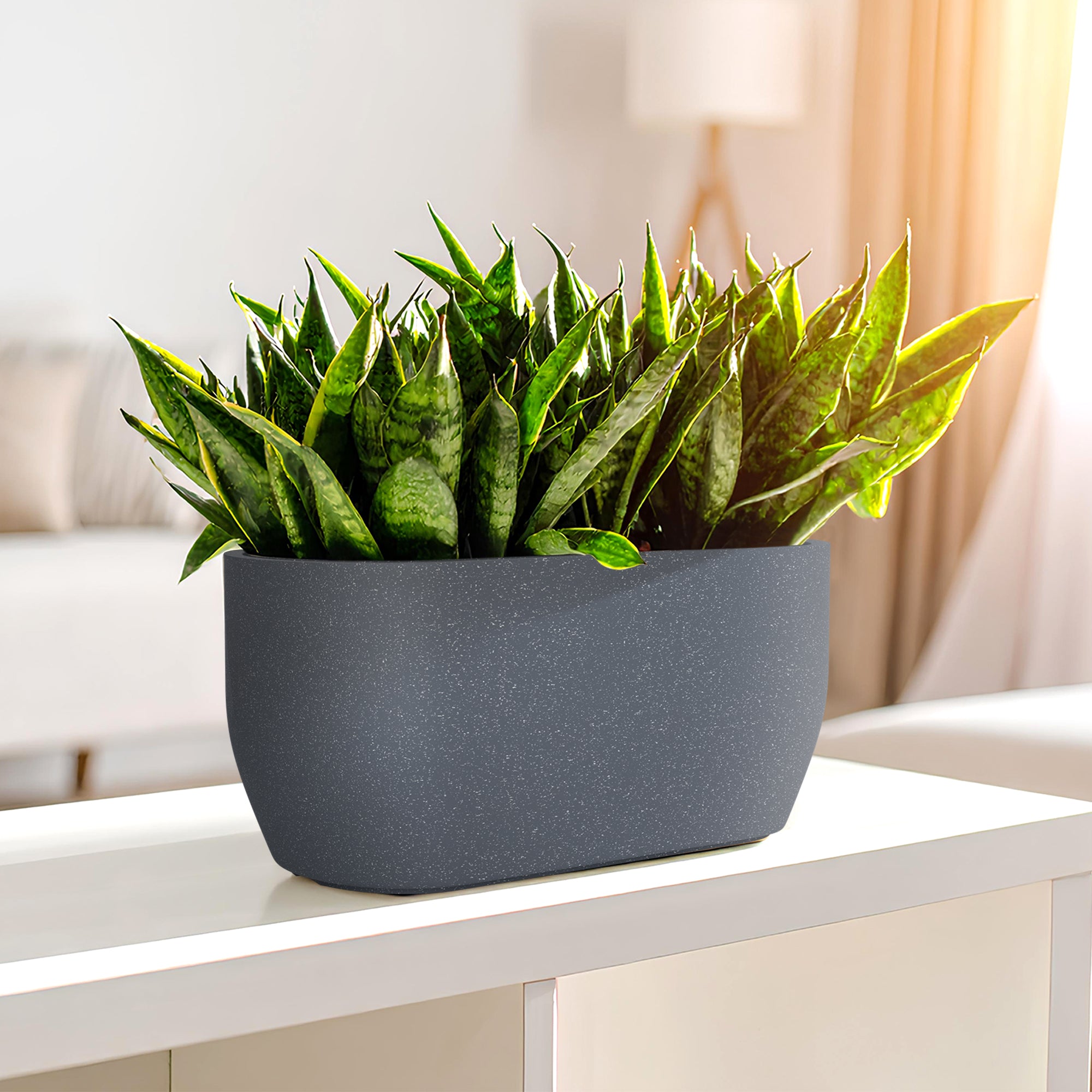 FOX B | PCTR PLANTER