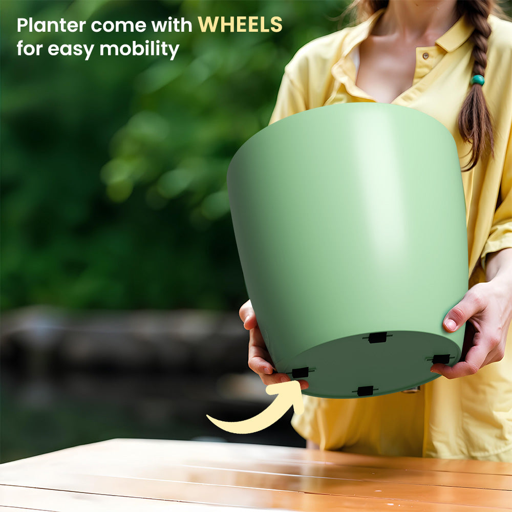 SHERA | STELLA GARDEN PLANTER