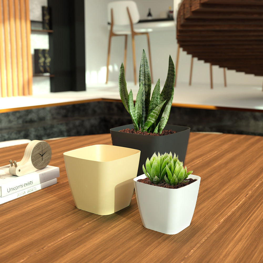 SHERA | STOIC PLANTER