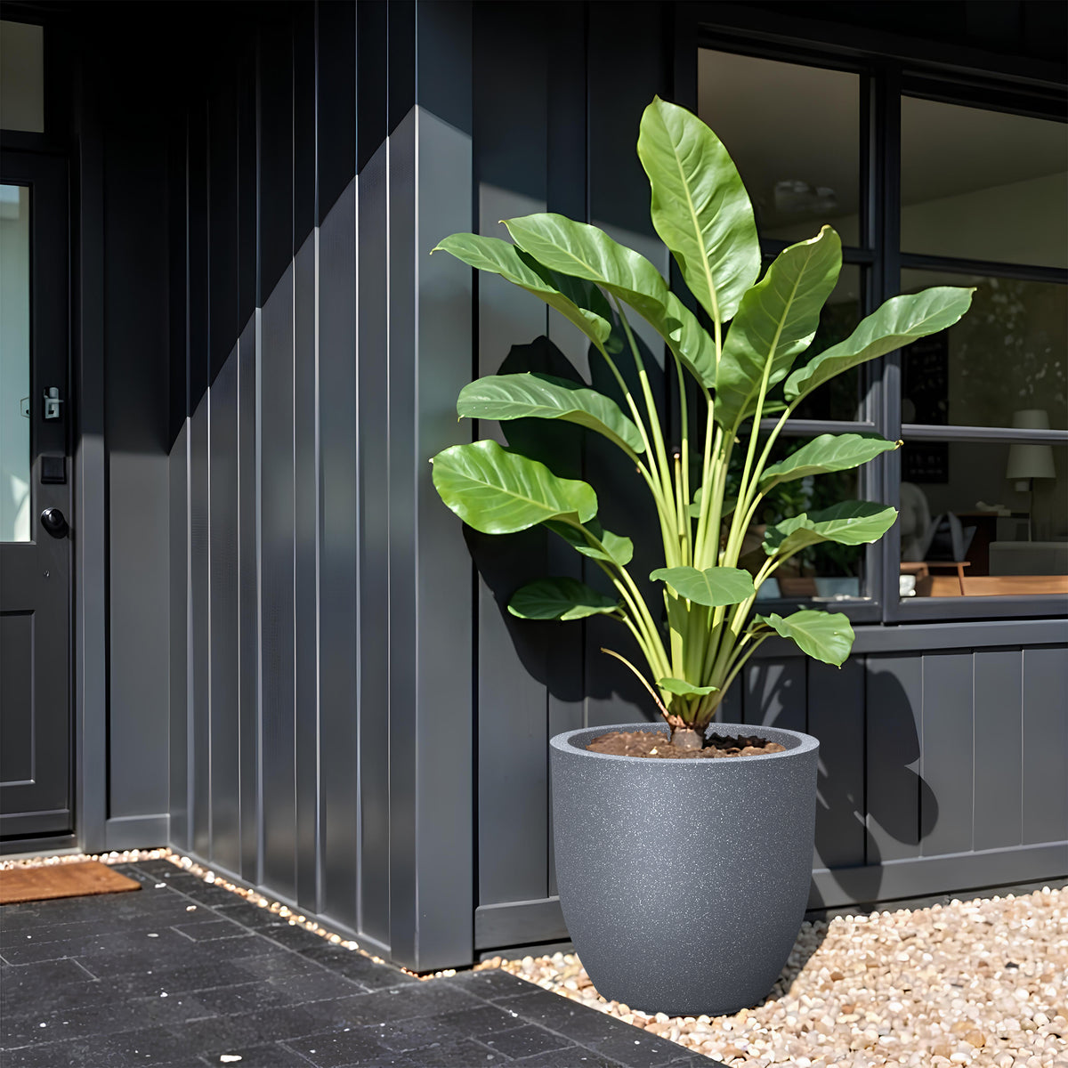 FOX B | P CUP PLANTER 17 INCH TO 40 INCH