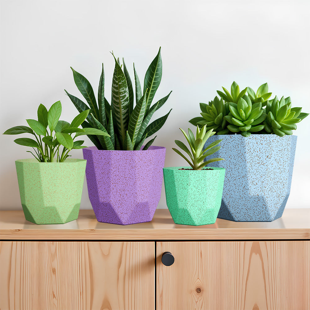 SHERA | HEXA PLANTER