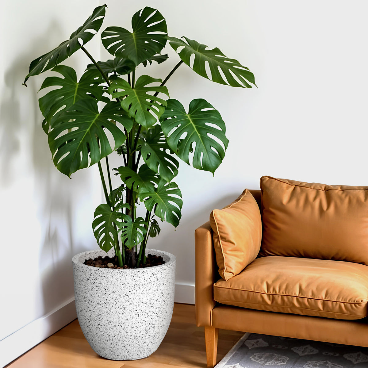 FOX B | P CUP PLANTER 6 INCH TO 15 INCH