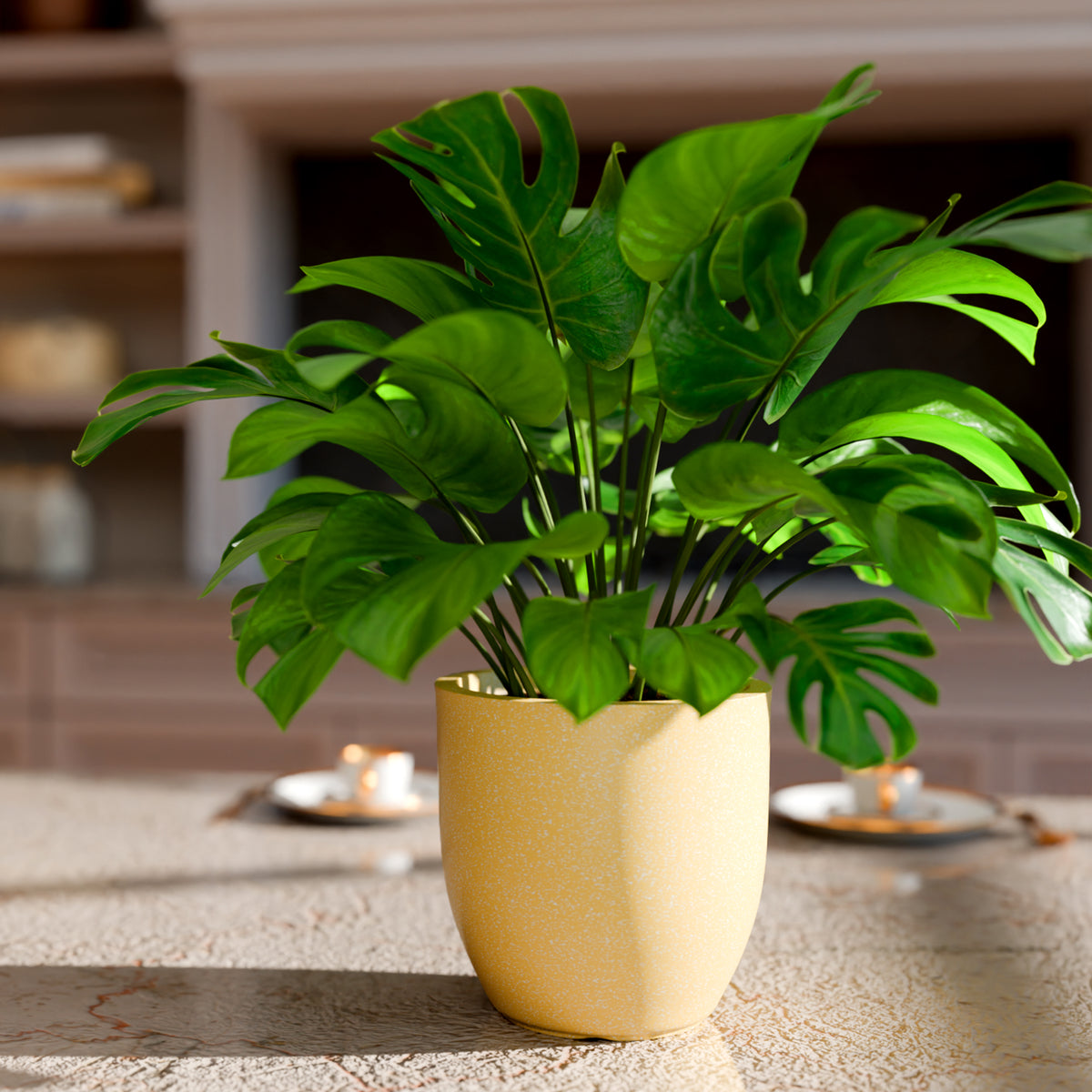 FOX B | P CUP PLANTER 6 INCH TO 15 INCH