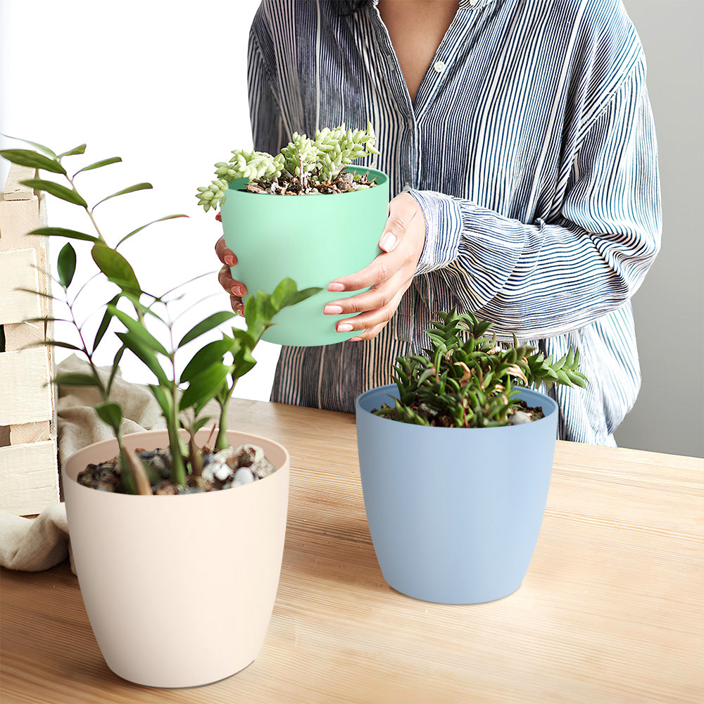 SHERA | STELLA PLANTER