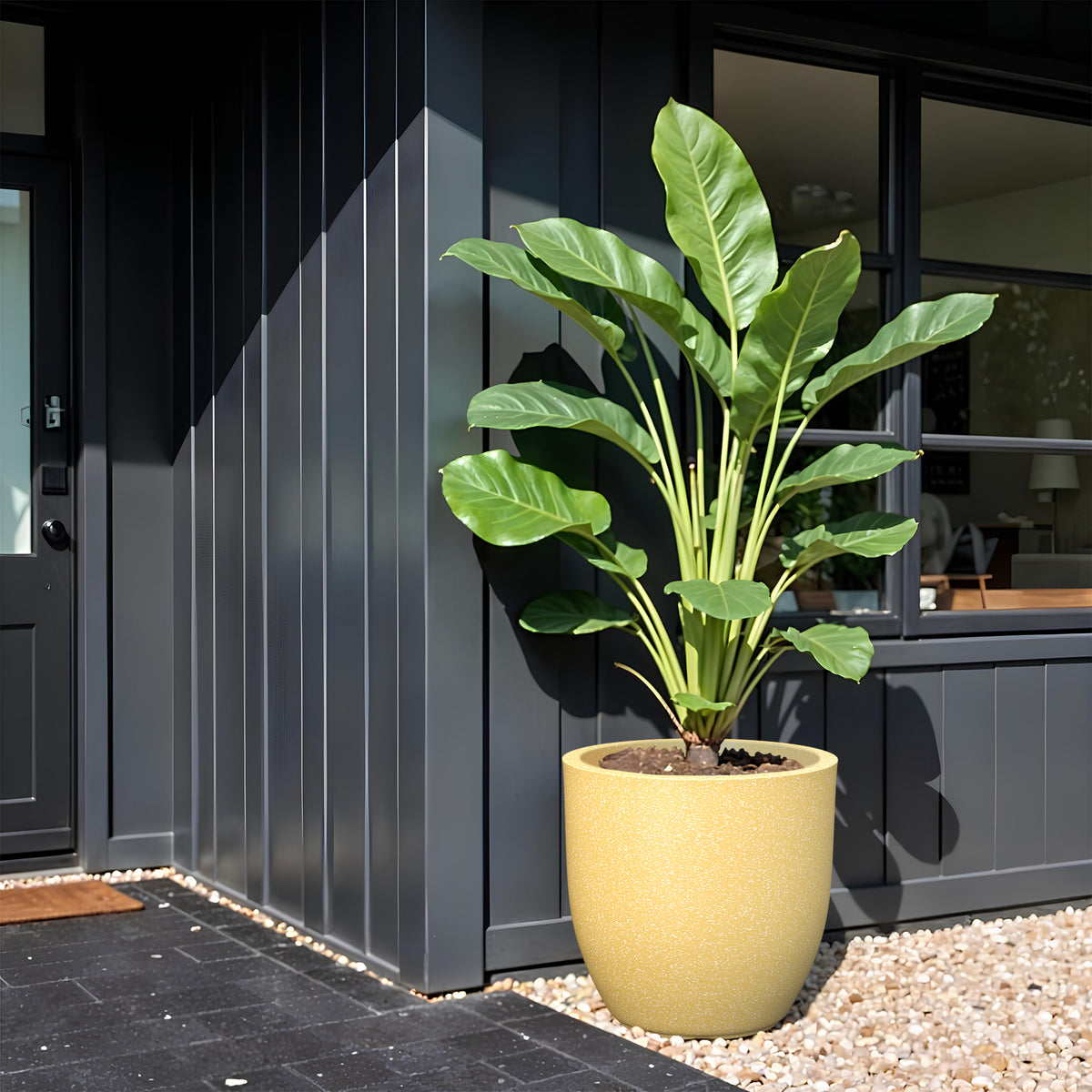 FOX B | P CUP PLANTER 17 INCH TO 40 INCH