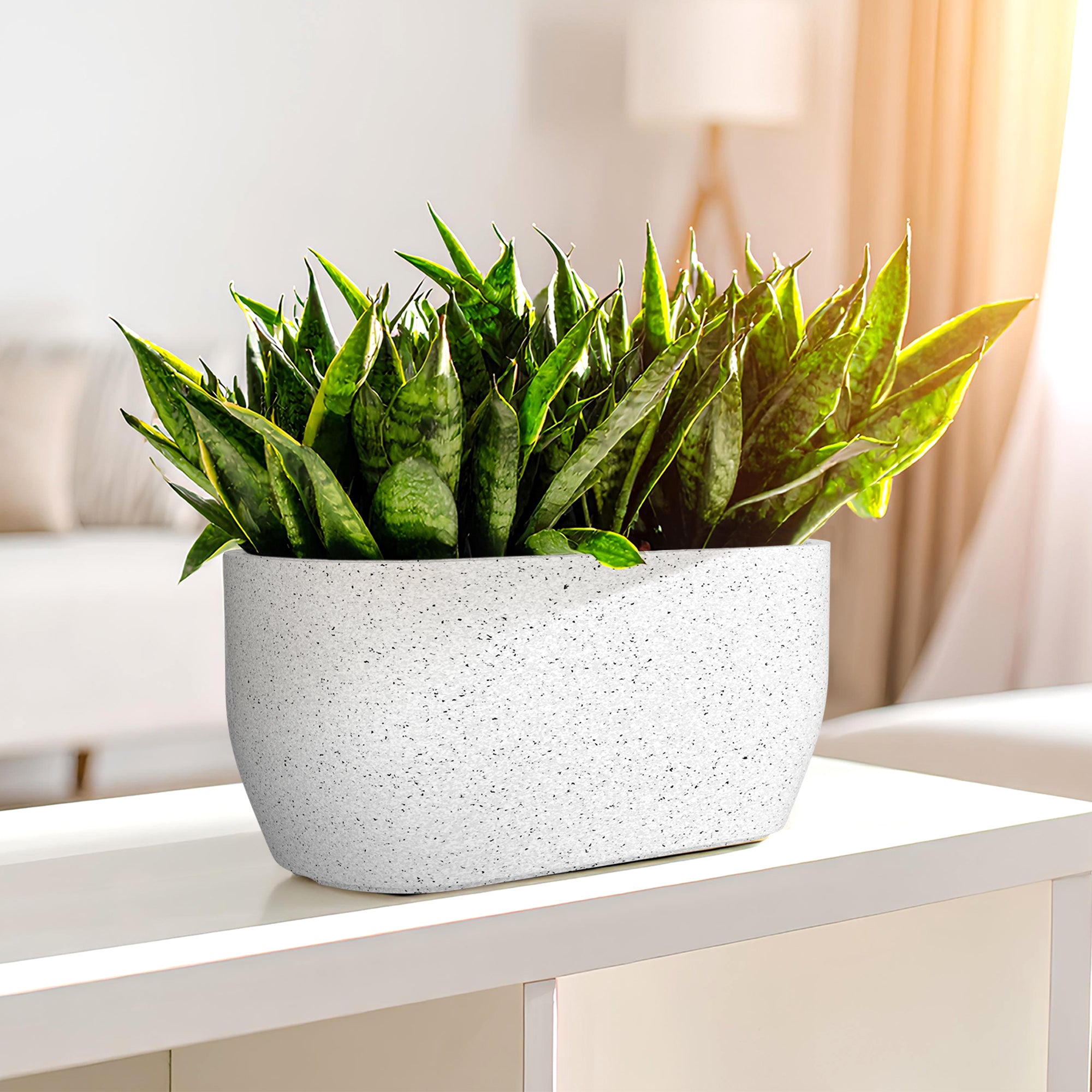 FOX B | PCTR PLANTER