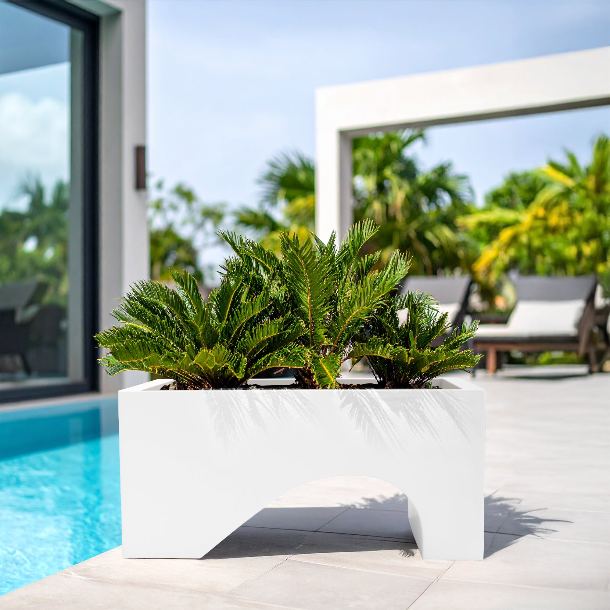 FOX B | UCTR PLANTER