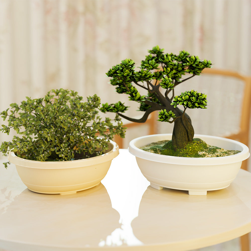 SHERA | BOTANICA BONSAI TRAY