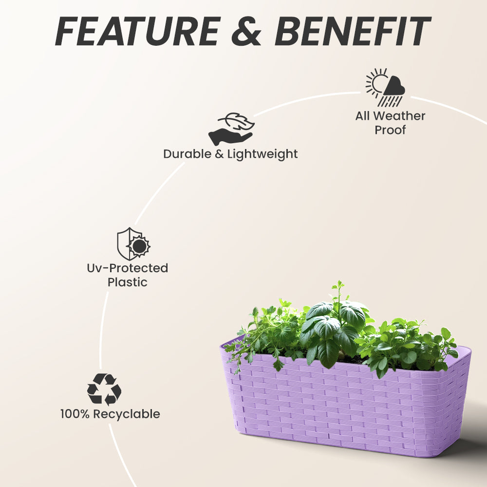 SHERA | RATTAN TRAY