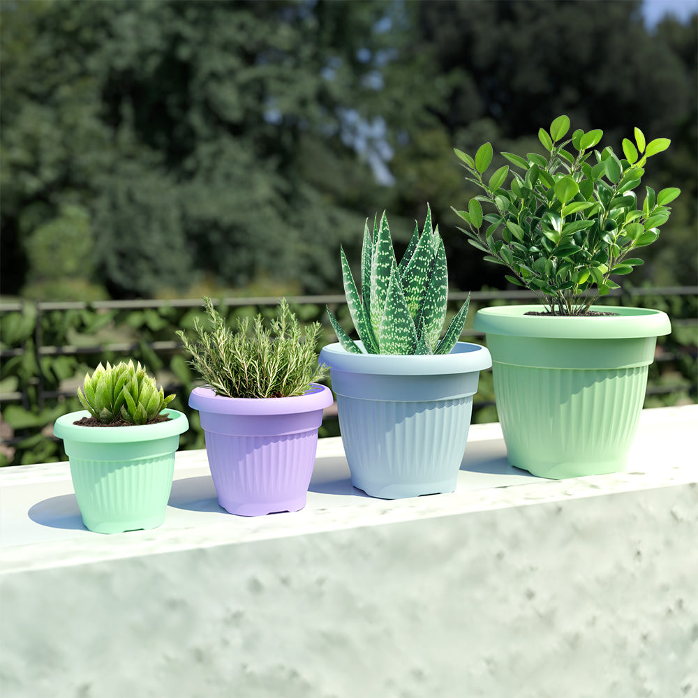 SHERA | BLOOM PLANTER