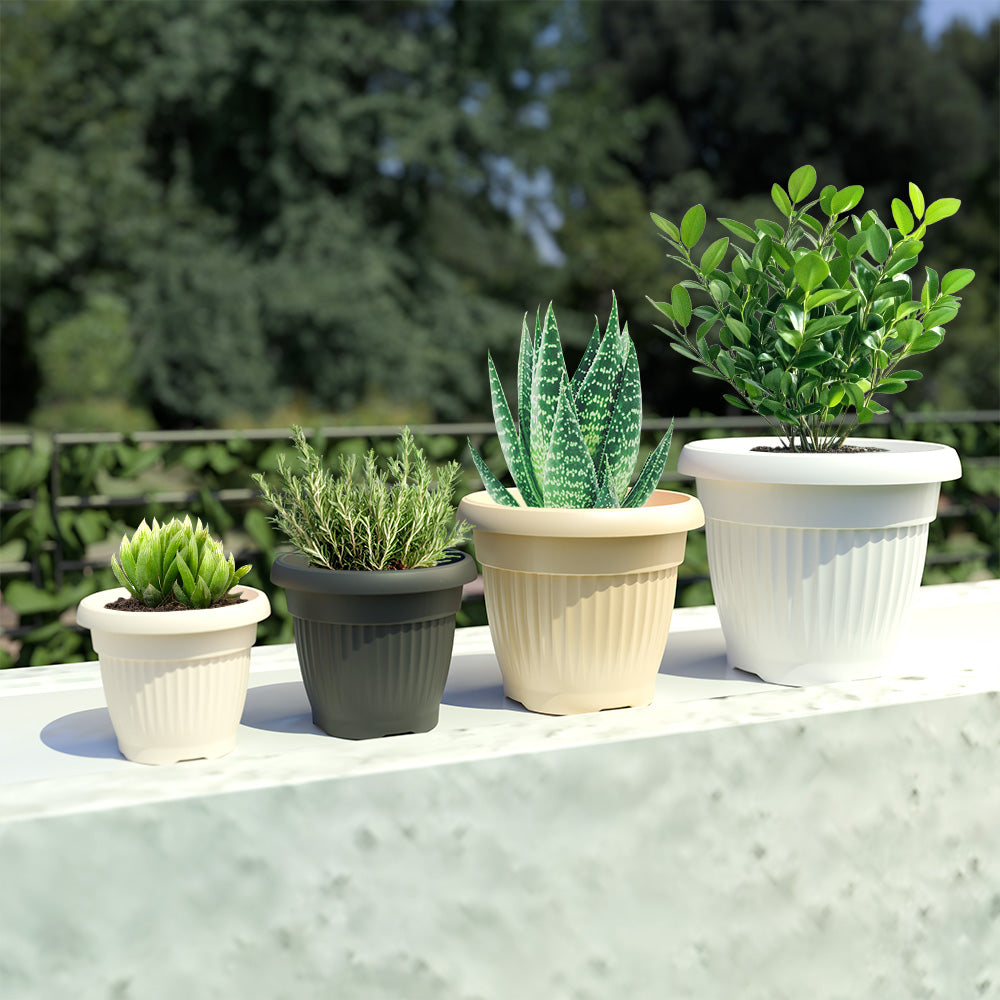 SHERA | BLOOM PLANTER