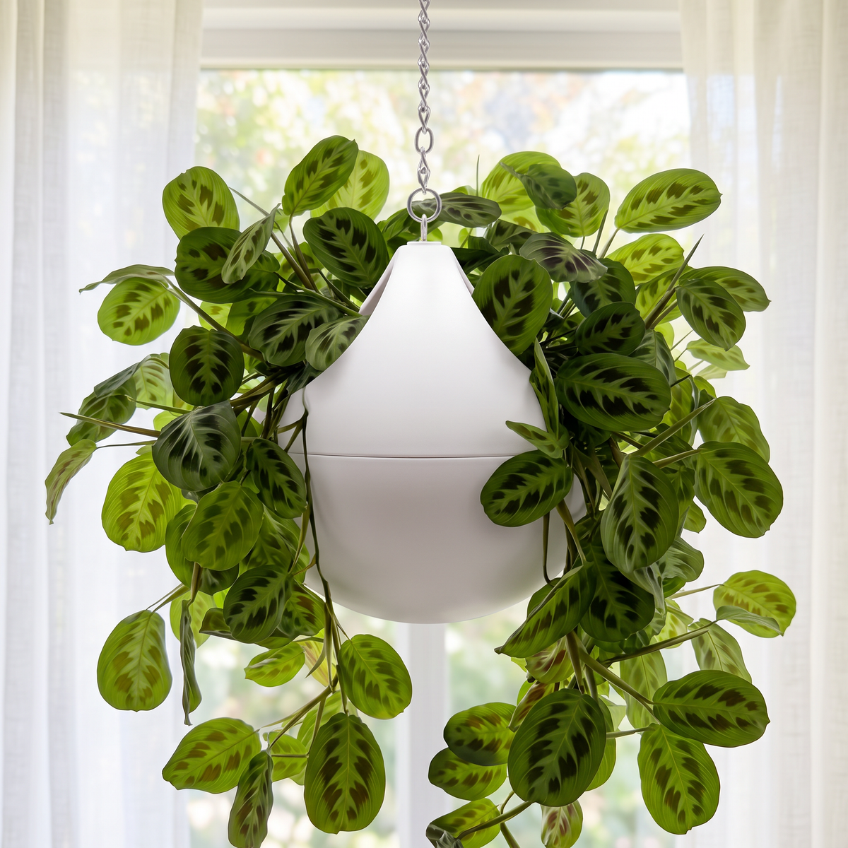 SHERA | DOLO PLANTER