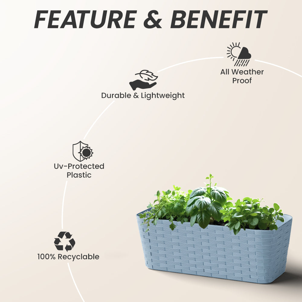 SHERA | RATTAN TRAY