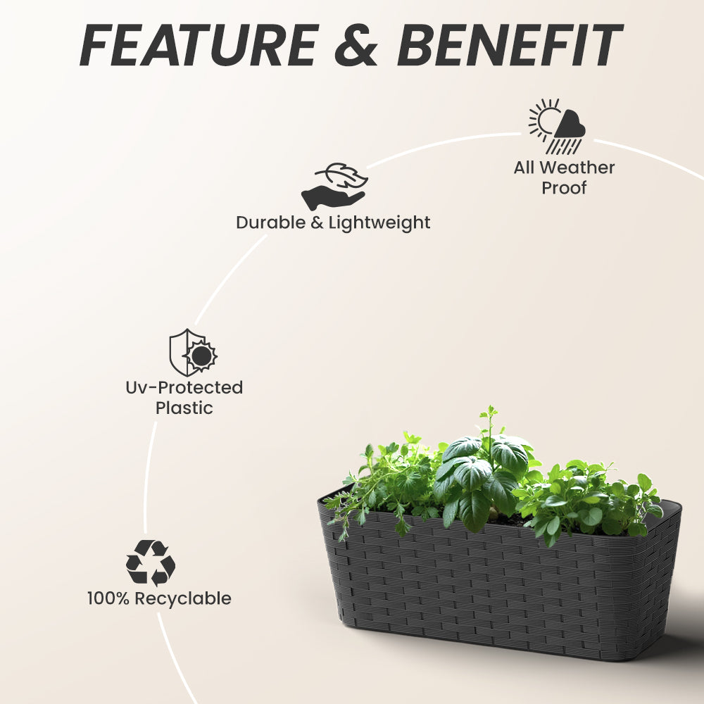 SHERA | RATTAN TRAY