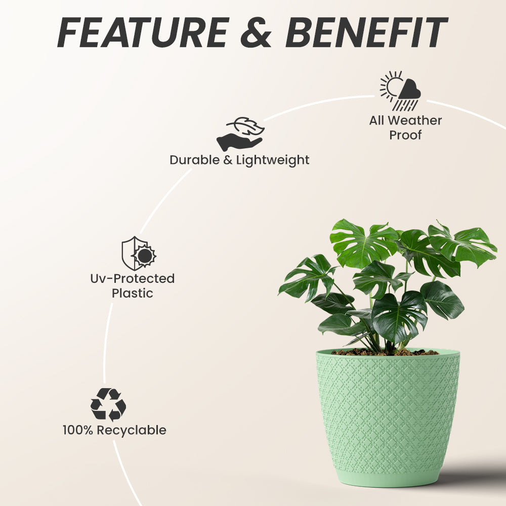 SHERA | CRUZ PLANTER