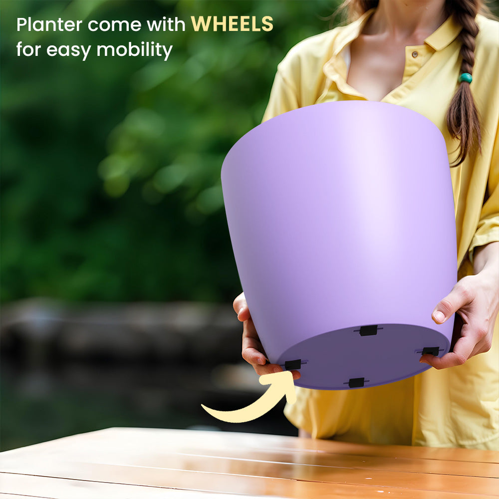 SHERA | STELLA GARDEN PLANTER