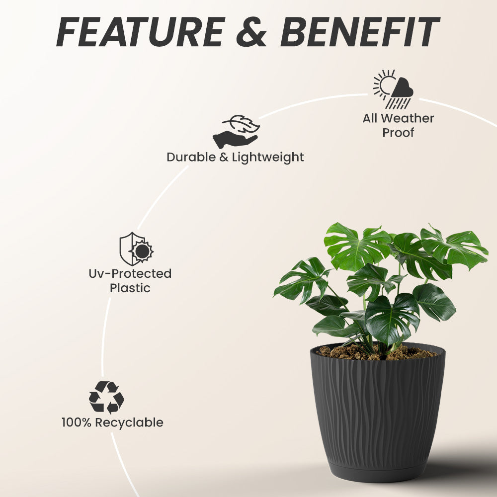 SHERA | EVA PLANTER