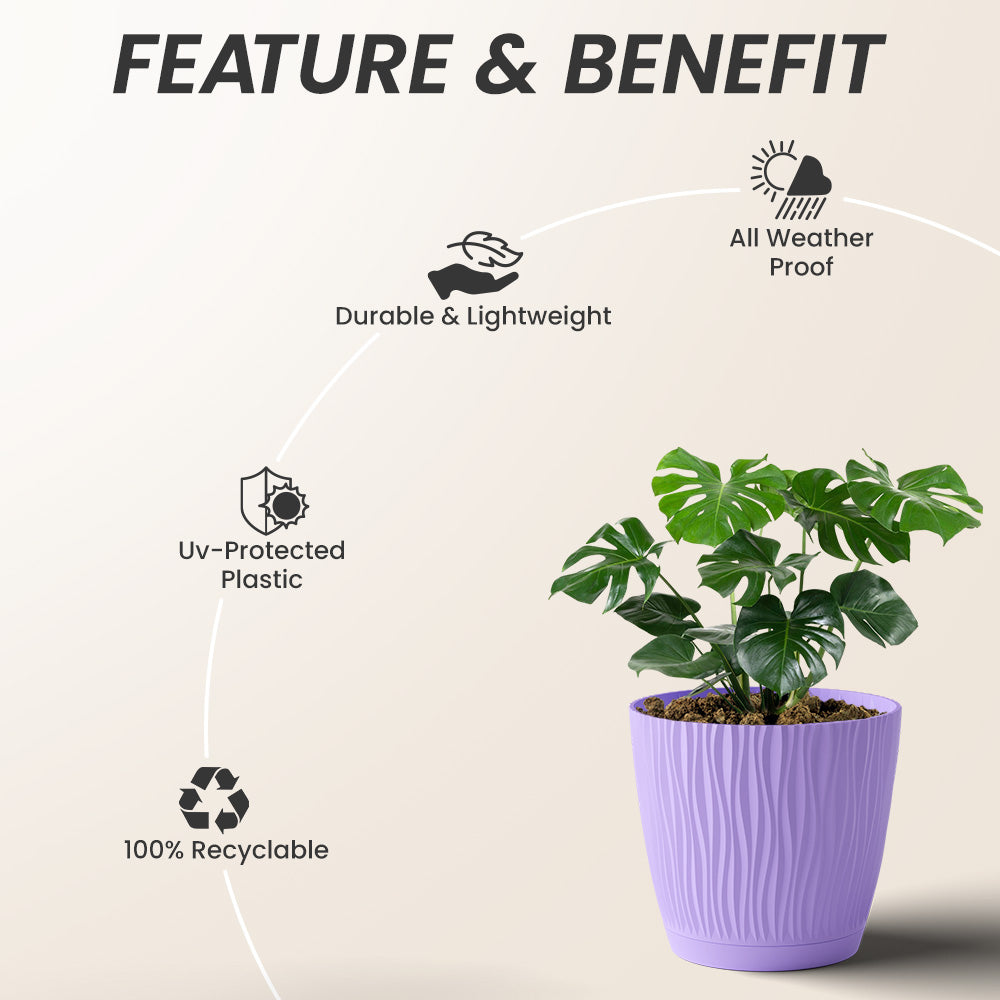 SHERA | EVA PLANTER