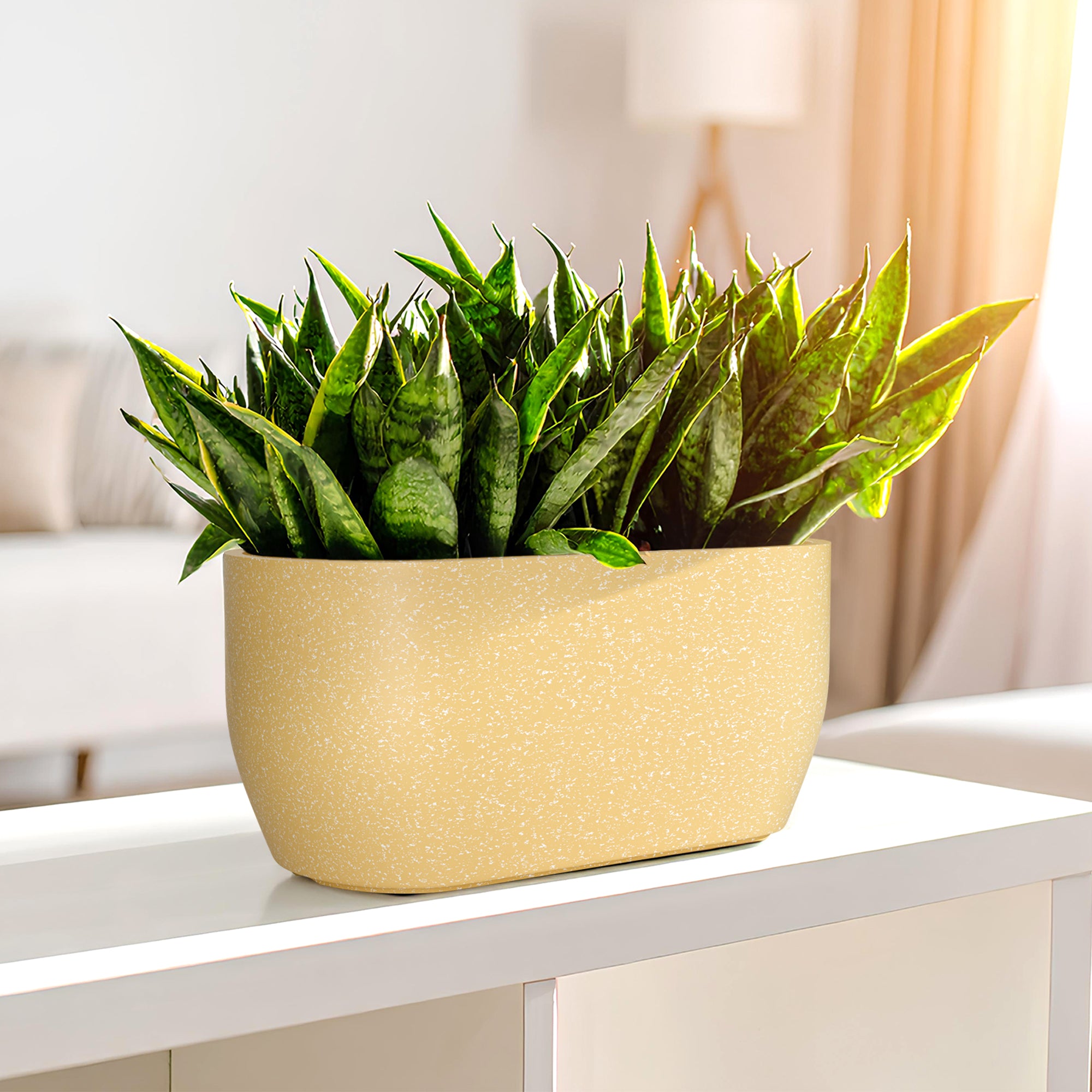 FOX B | PCTR PLANTER