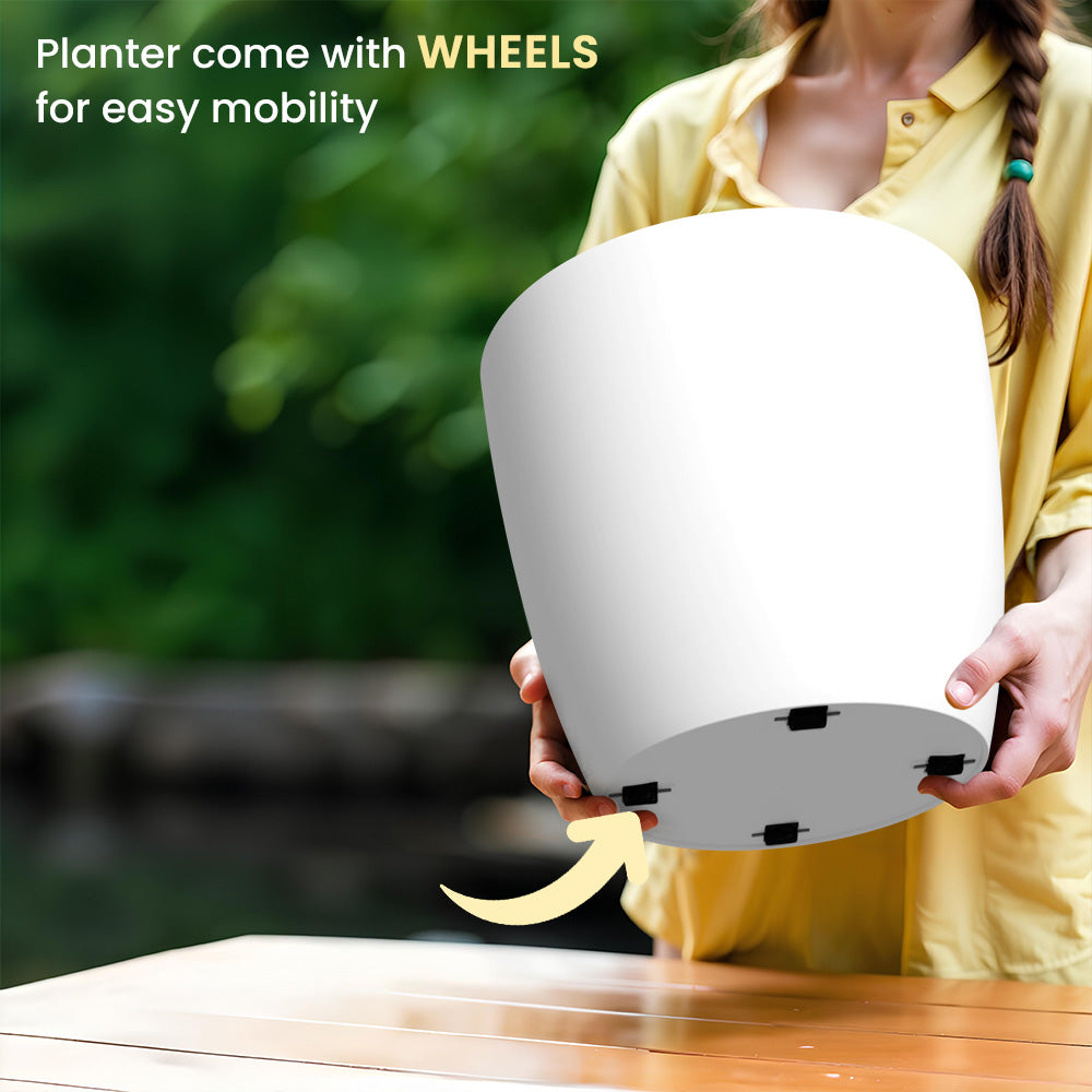 SHERA | STELLA GARDEN PLANTER