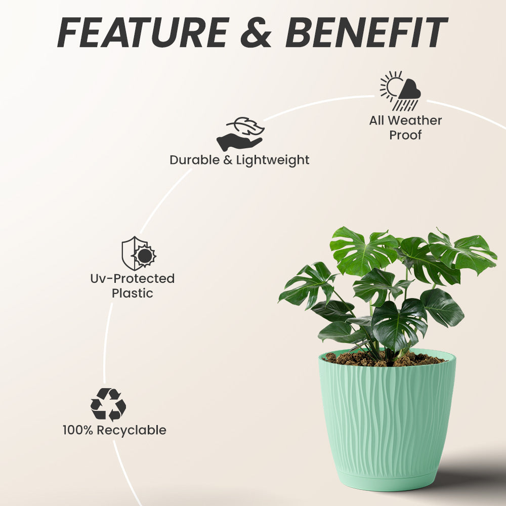SHERA | EVA PLANTER
