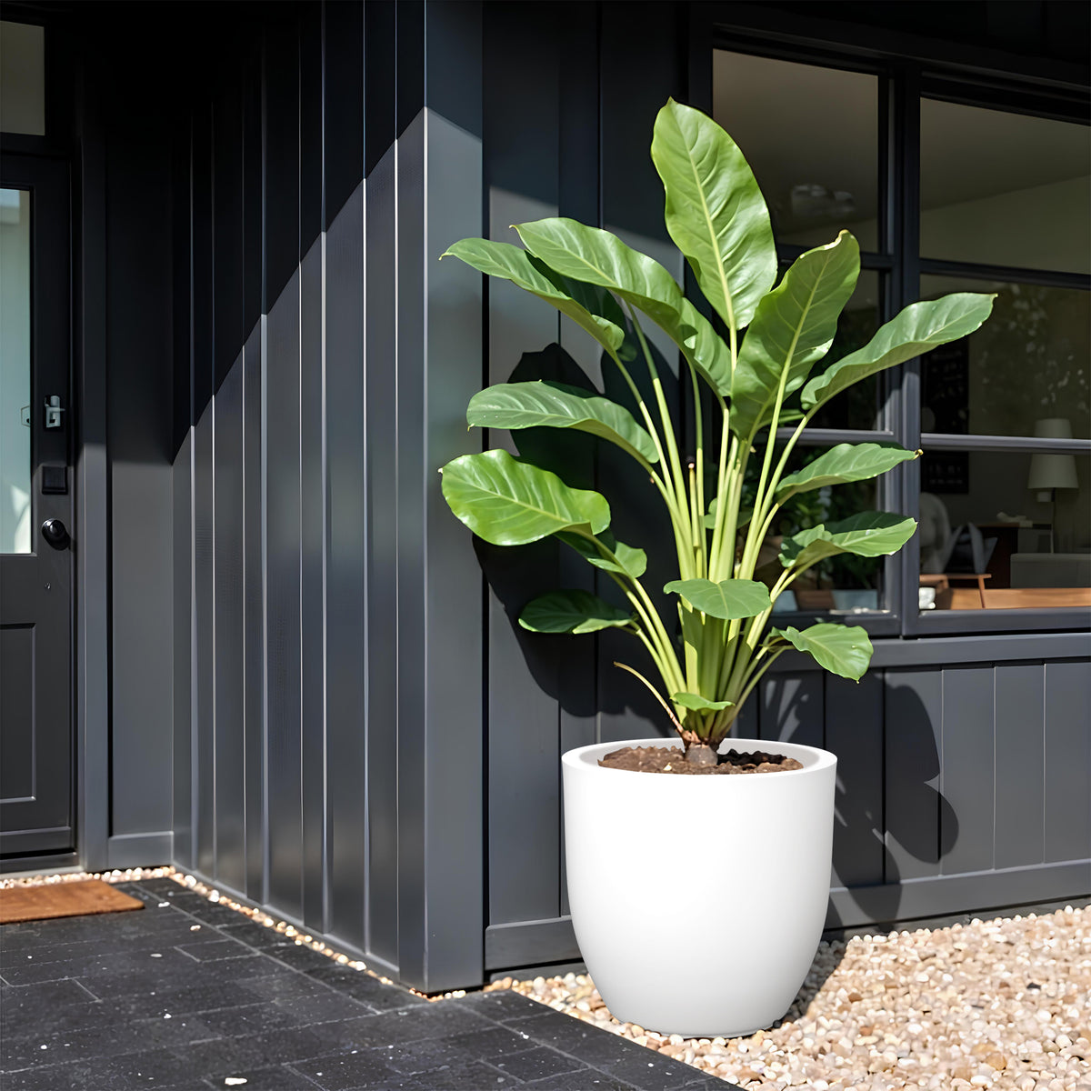 FOX B | P CUP PLANTER 17 INCH TO 40 INCH