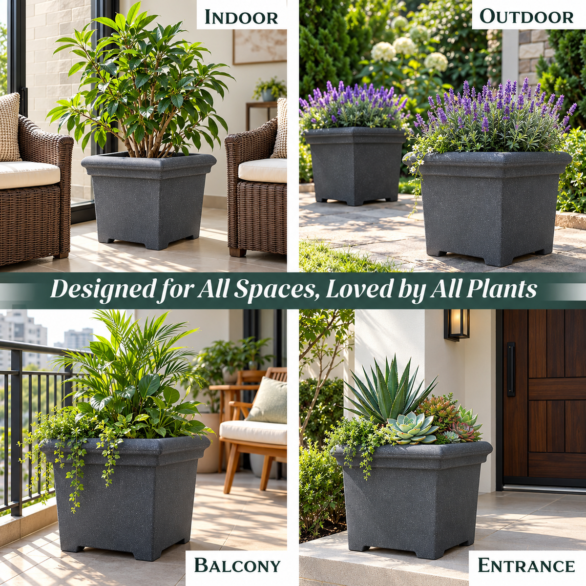 FOX B | BS PLANTER