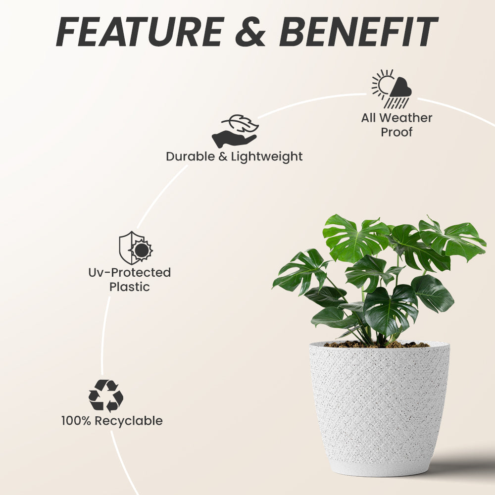 SHERA | CRUZ PLANTER