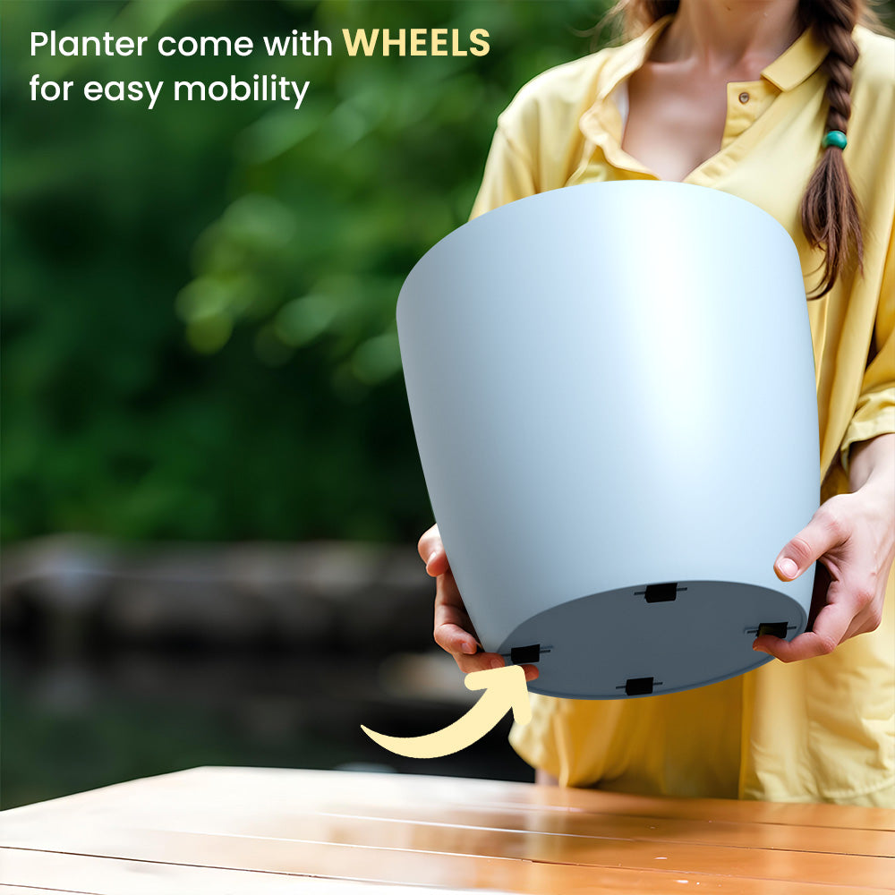 SHERA | STELLA GARDEN PLANTER