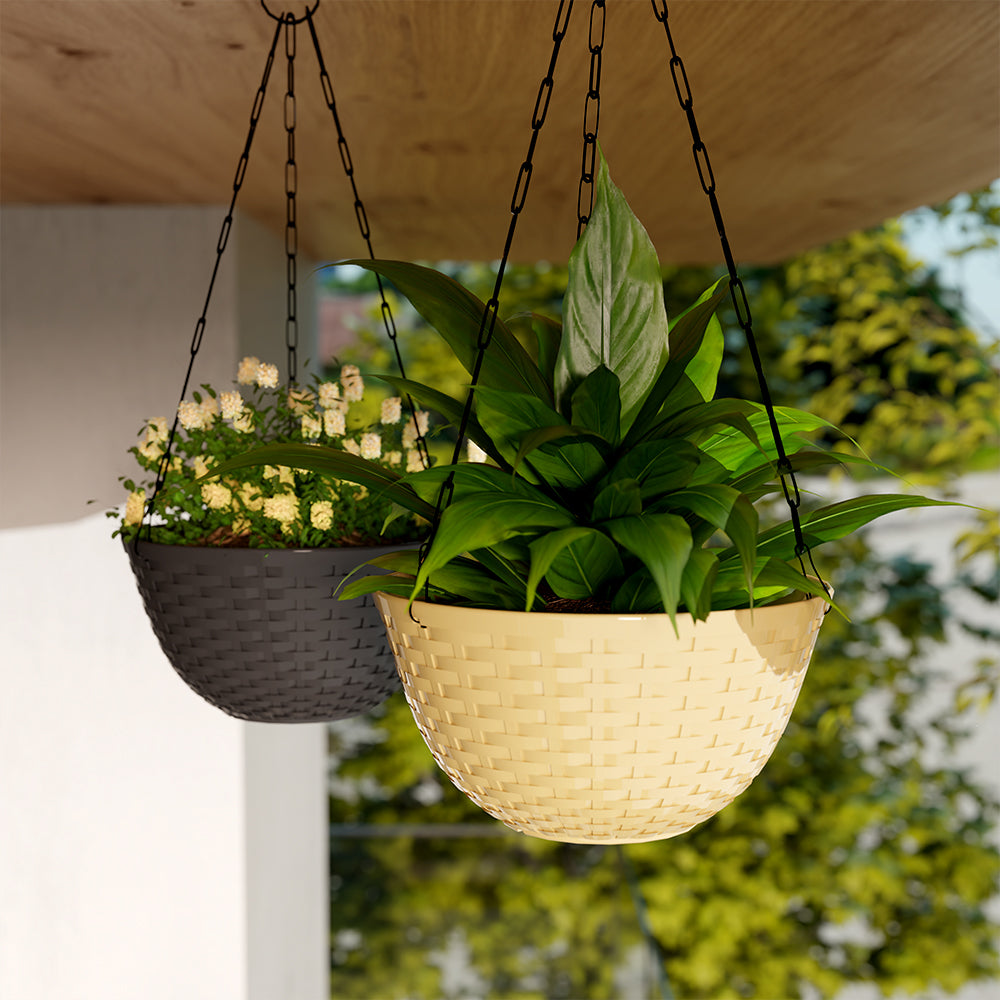 SHERA | CHICK HANGING