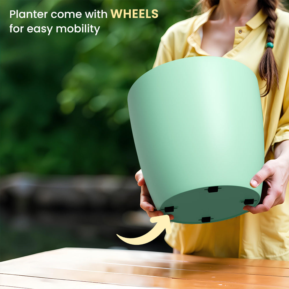 SHERA | STELLA GARDEN PLANTER